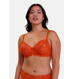 Orange mandarine