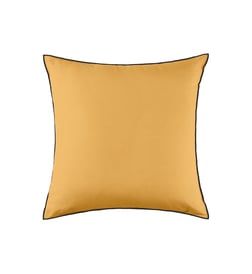 Ocre et bourdon noir