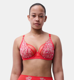 Fleur flamboyante