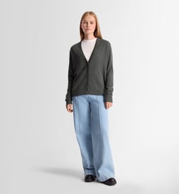 Bleu gris