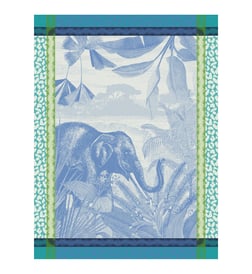Ocean