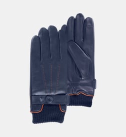 Bleu marine