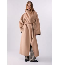 Camel