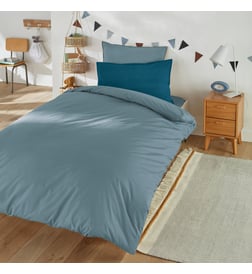 Bleu gris