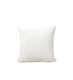 Blanc hermine