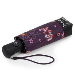 Fleurs aubergine