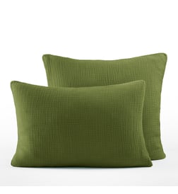 Vert mousse