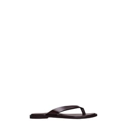 Marron foncé