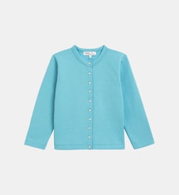 Bleu eden roc