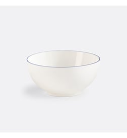Blanc et bleu