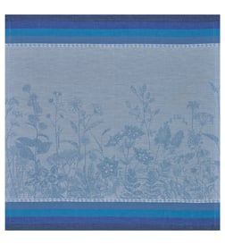 Bleuet