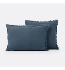 Bleu de prusse