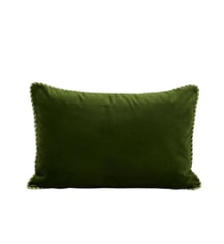 Vert olive