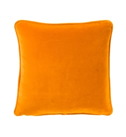 Abricot
