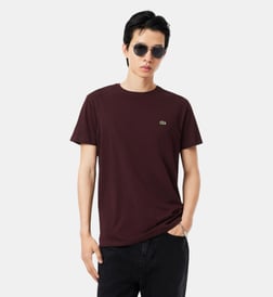 Marron oxalis