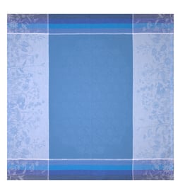 Bleuet