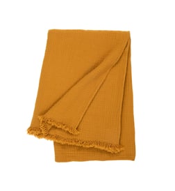 Ambre