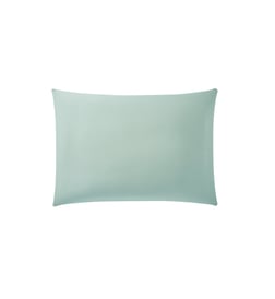 Bleu vert