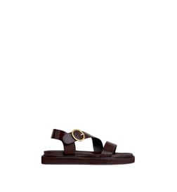 Marron foncé