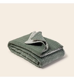 Vert de gris