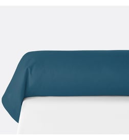 Bleu de prusse