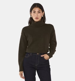 Kaki