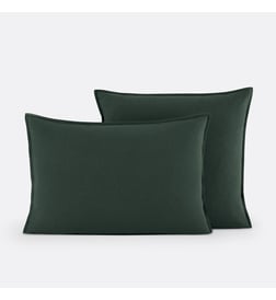 Vert foncé