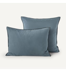 Bleu gris