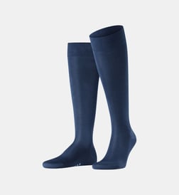 Bleu royal
