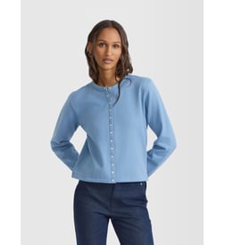 Bleu alouette