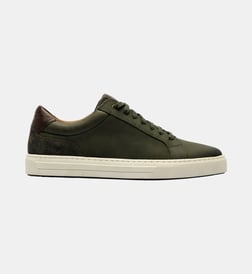 Olive foncée