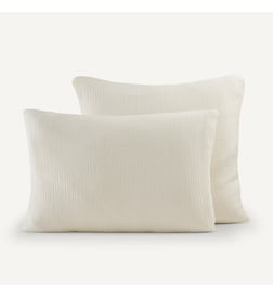Blanc plume