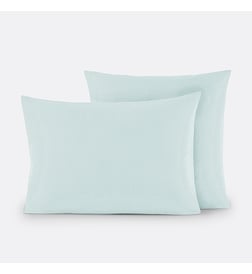 Bleu céladon