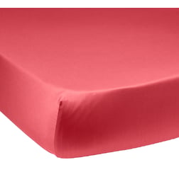 Pastèque