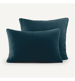 Bleu paon