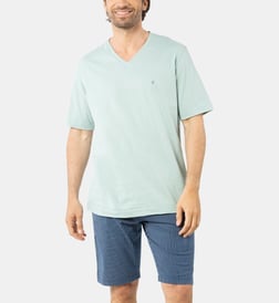 Bleu turquoise
