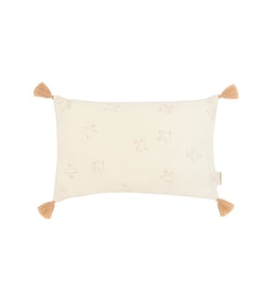 Oiseaux hoshi marrons