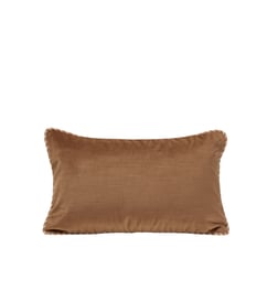 Camel doré