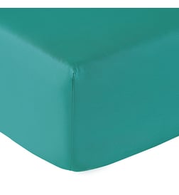 Vert foncé
