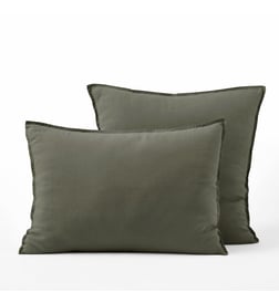 Kaki