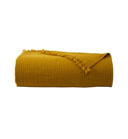 Ambre