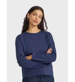 Bleu breton
