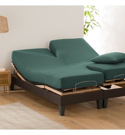 Vert foncé