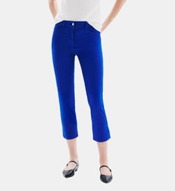 Bleu roi