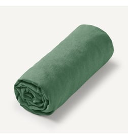 Vert épicéa
