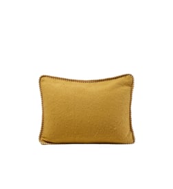 Jaune ocre