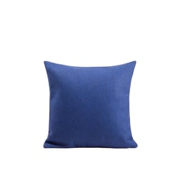 Bleu outremer