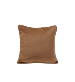 Camel doré