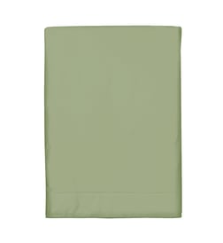 Kaki