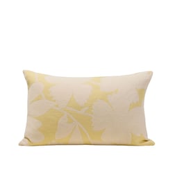 Ivoire et jaune pastel